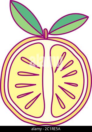 vector cute drawn fruit clip art citrus Stock Vector