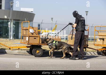 Customs and border protection officer and dog Stock Photo