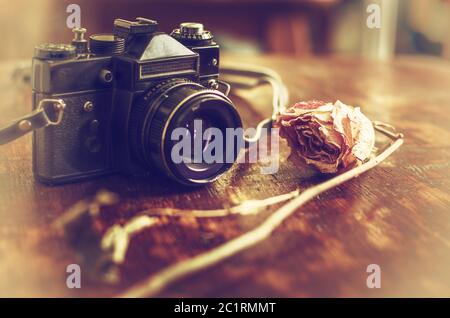 Retro photo camera and dry rose on a wooden table Stock Photo