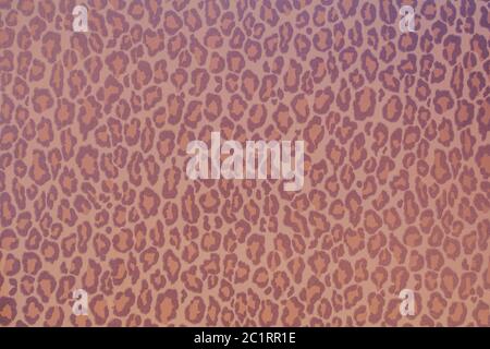 Leopard wild animal pattern background or texture, wallpaper concept colorful purple Stock Photo