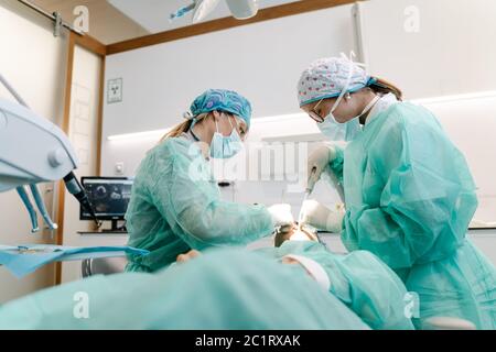 professional dentists in latex gloves using clean tools to perform oral procedure on unrecognizable patient in contemporary clinic Stock Photo