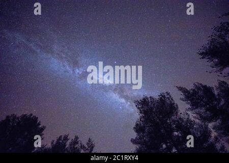 Starry sky with Milky way seen from mountain through trees in forest Stock Photo