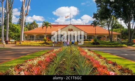 MILILANI, UNITED STATES OF AMERICA - JANUARY 12, 2015: the dole pineapple plantation in hawaii Stock Photo