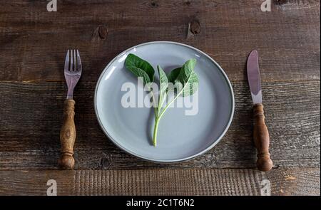 Table setting with rustic cutlery and empty plate on old wood.  Stock Photo