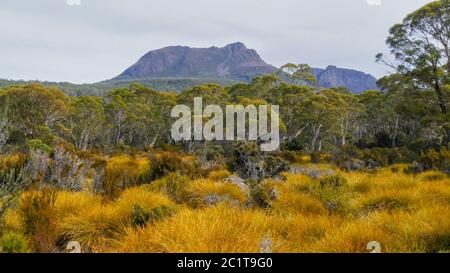 mt gould and the buttongrass plains of tasmania's lake st clair national park Stock Photo