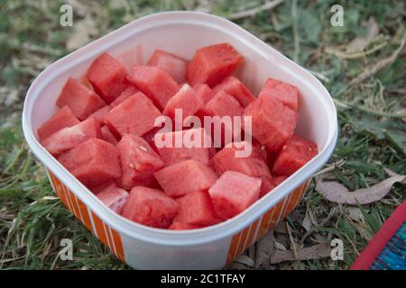 Top view of Watermelon (Citrullus lanatus) fruit cubes, in a plastic container Stock Photo