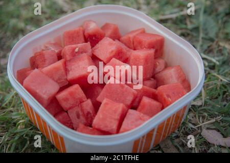 Top view of Watermelon (Citrullus lanatus) fruit cubes, in a plastic container Stock Photo