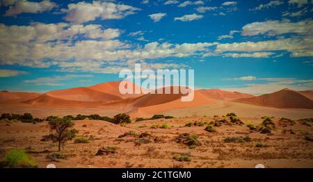 Sand dunes Namib-Naukluft national park in Namibia Stock Photo