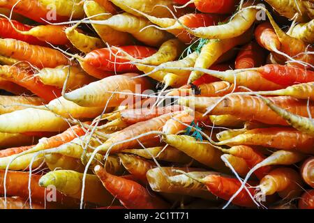 Bunch of organic carrots Stock Photo