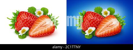 Strawberry isolated. Two strawberries with flowers and leaves isolated on white background Stock Photo