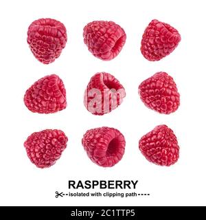 Raspberry collection. Raspberries isolated on white background with clipping path. Seamless Pattern Stock Photo