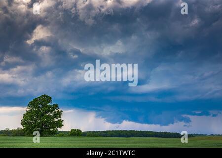 Supercell storm clouds with wall cloud and intense rain Stock Photo