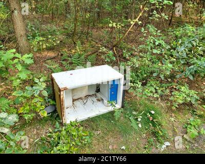 Old broken fridge dumped in the forest in Poland. Illegal garbage disposal in nature. Stock Photo
