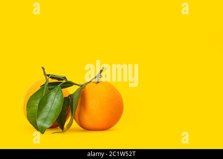 Two oranges with green leaves on a yellow background Stock Photo