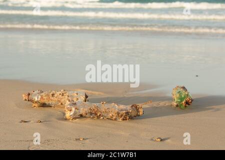 Plastic products clog nature more and more. Plastic bottle covered in sea barnacles and sponges (fou Stock Photo