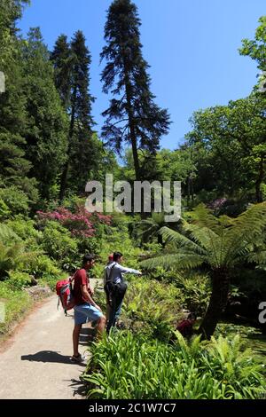 SINTRA, PORTUGAL - MAY 21, 2018: People visit Pena National Park in Sintra. Gardens of Pena Park (Jardins do Parque da Pena) are a large area of vario Stock Photo