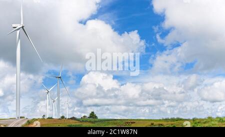 Landscape windmills field Stock Photo