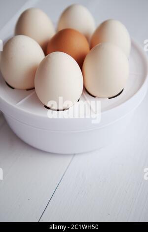 Chicken eggs in a egg electric cooker on a white wooden table Stock Photo