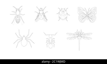 Vector Isolated Insects Back and White Icons Stock Vector