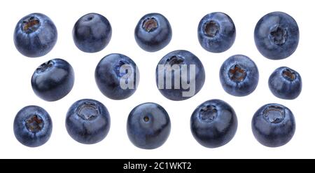 Blueberry isolated on white background with clipping path Stock Photo
