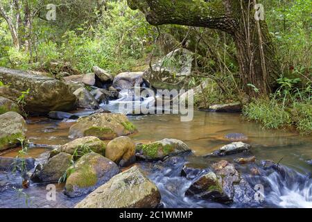 Small river with clear waters running through the rocks Stock Photo