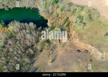 nature reserve Moorweiher and surrounding, former gravel pit, 04/08/2020, aerial view, Germany, Schleswig-Holstein Stock Photo