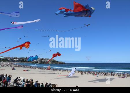 Australia’s largest kite flying festival, the ‘Festival of the Winds’ was held at Sydney’s iconic Bondi Beach. Stock Photo