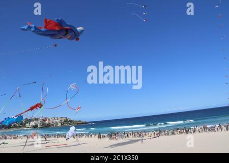 Australia’s largest kite flying festival, the ‘Festival of the Winds’ was held at Sydney’s iconic Bondi Beach. Stock Photo