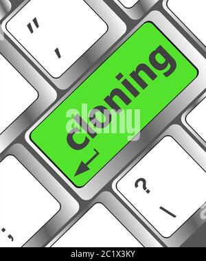 cloning keyboard button on computer pc. laptop icon Stock Photo