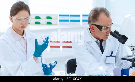 close up. Microbiology scientists work in the laboratory . Stock Photo