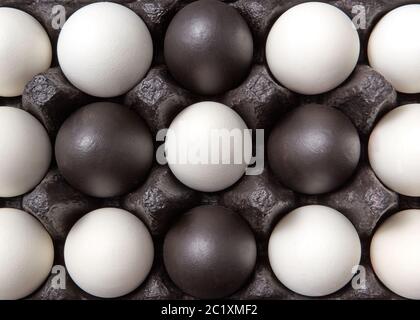 Close-up creative pattern of colored black and white eggs in a black cardboard box. Easter composition. Flat lay Stock Photo