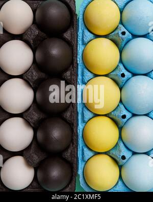 Set of colorful painted yellow, blue, black and white eggs in different cardboard boxes. Easter background. Flat lay Stock Photo