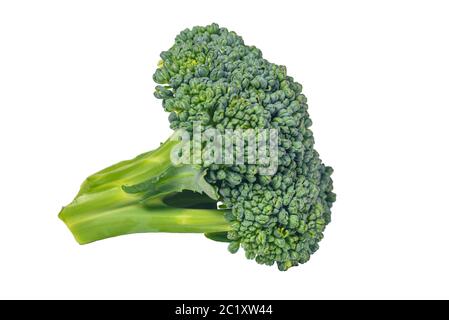 fresh broccoli closeup on white isolated background Stock Photo