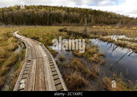 Lake and Swamp in the Pukaskwa National Park in Canada Stock Photo