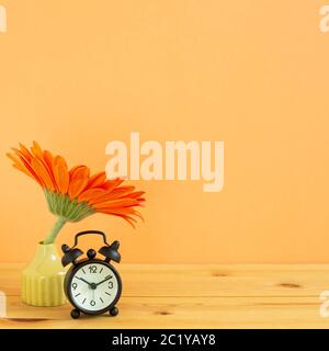 Alarm clock with gerbera flower on wooden table with orange background Stock Photo