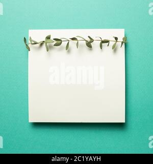 White memo pad, empty paper with eucalyptus leaves on mint green background. top view, copy space Stock Photo