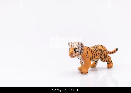 close up of a baby tiger from a plastic toy isolated on a white background Stock Photo