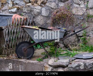 Old rusty wheelbarrow in garden Stock Photo