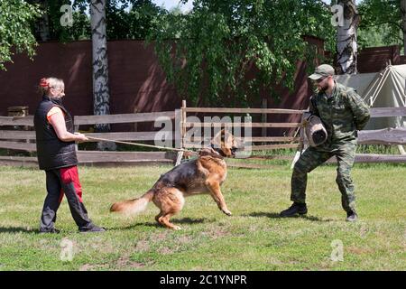 German shepherd attack training hot sale school