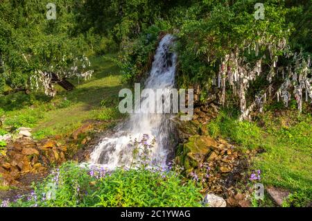 a small waterfall in the Altai mountains in the summer among the trees Stock Photo