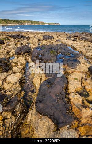 Scalby Mills Sands, Looking North, Scarborough, East Yorkshire, England Stock Photo