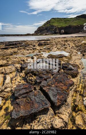 Scalby Mills Sands, Looking North, Scarborough, East Yorkshire, England Stock Photo