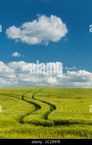 Field Patterns, Wykham, Scarborough, East Yorkshire, England Stock Photo