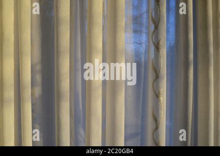 translucent curtains behind which the sky and trees are visible Stock Photo