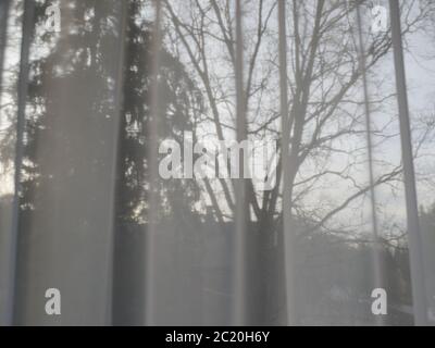 translucent curtains behind which the sky and trees are visible Stock Photo