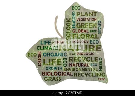 Photo created tag cloud with key words from the field of nature highlighted on a green ivy leaf Stock Photo