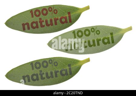 Various green leaves with highlighted font 100% natural in different brightnesses and colors Stock Photo