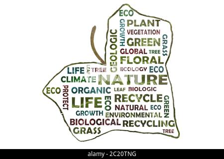 Photographically created tag cloud with key words such as nature, geology, ecology cut out of an ivy leaf Stock Photo