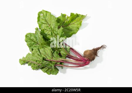 Red beet root with leaves isolated on white background. Beta vulgaris Stock Photo