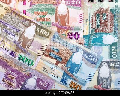 Zambian Kwacha a background Stock Photo